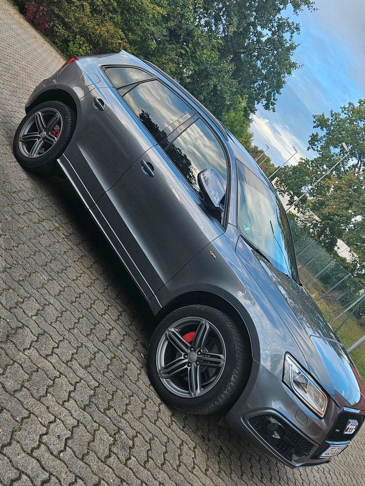 Audi Q5 3.0 2015 S-line in Wietze