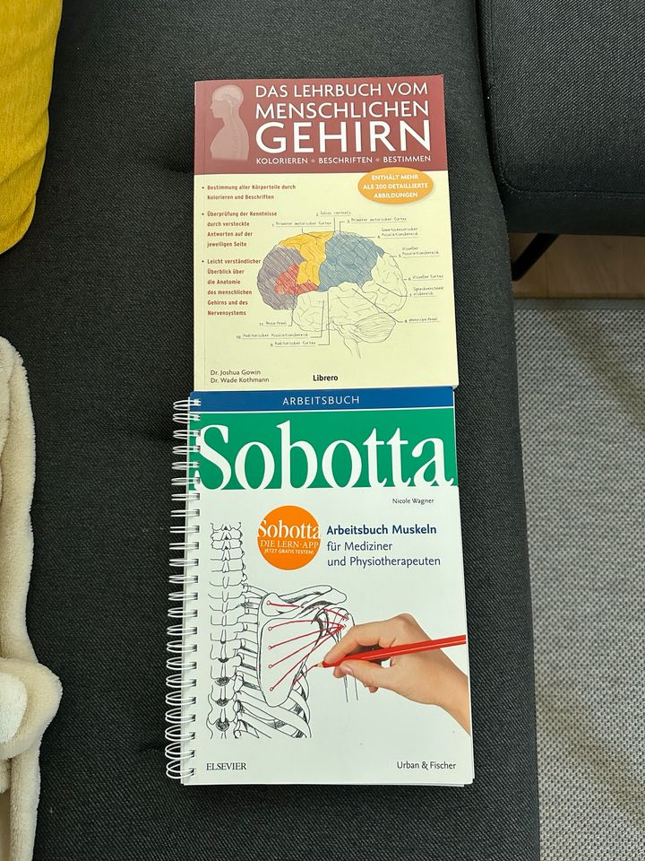 Arbeitsbuch Muskeln/Lehrbuch Gehirn in Deggendorf