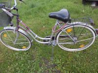 Damen Fahrrad 26 Zoll Niedersachsen - Garbsen Vorschau