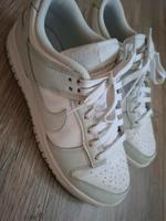 Nike Dunks 40.5 Nordrhein-Westfalen - Elsdorf Vorschau