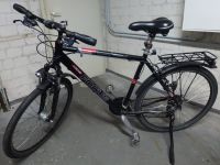 Focus Trekking Fahrrad Gr.L 28 Zoll Nordrhein-Westfalen - Mettmann Vorschau