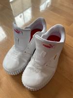 Puma Carina Bayern - Krombach Vorschau