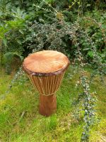 Djembe aus Ghana Niedersachsen - Dörverden Vorschau