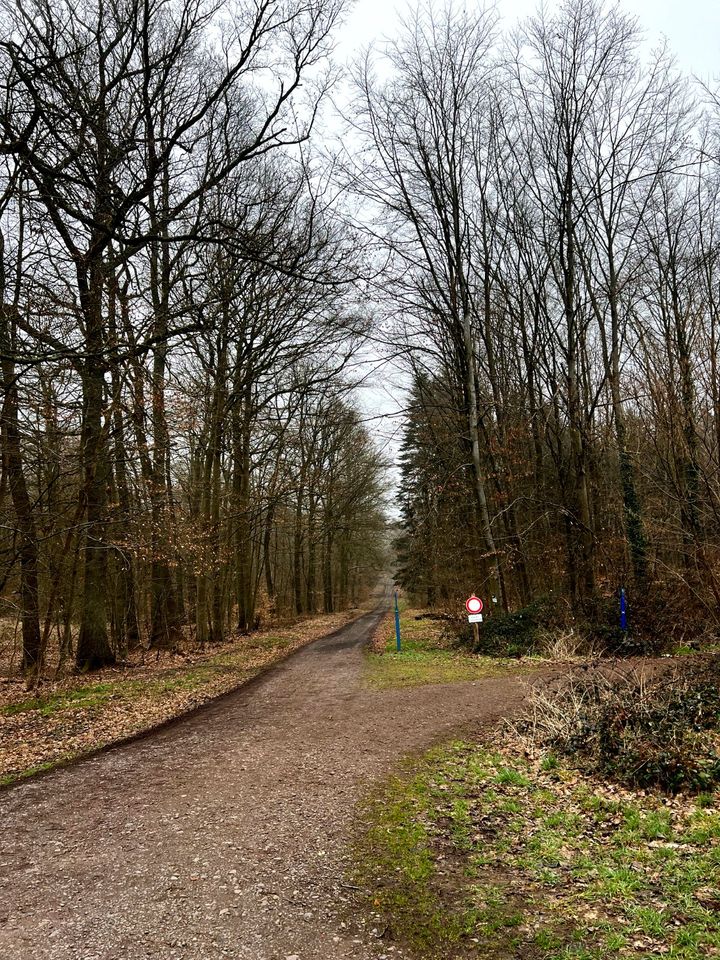 Grundstück in 66333 Lauterbach   20,71 Ar in Saarbrücken