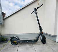 Ninebot G30D Bayern - Freilassing Vorschau