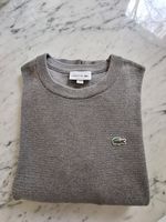 LACOSTE Pullover Baumwolle Nordrhein-Westfalen - Lübbecke  Vorschau