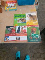 Hunde / Welpen Bücher Niedersachsen - Eime Vorschau
