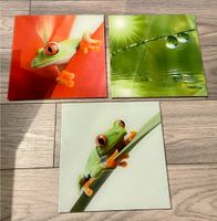 Glasbilder Frosch, grün orange, Eurographics Saarland - St. Ingbert Vorschau