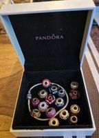 Pandora mit 16 Charms Wandsbek - Hamburg Bergstedt Vorschau