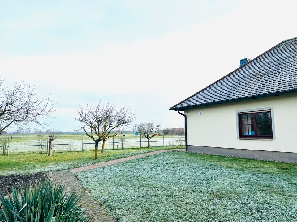 Großer Bungalow in Demker in Tangermünde