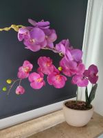 Kunstorchidee / Orchidee / Kunstpflanze Dortmund - Brackel Vorschau