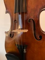 Alte italienische Geige Obergiesing-Fasangarten - Obergiesing Vorschau
