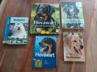 ☆ Rassehundebuch, Hovawart, Malteser, Hunde ☆ Schleswig-Holstein - Schleswig Vorschau