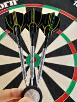 MvG Michael van Gerwen 22g Winmau Steeldarts Niedersachsen - Neuenhaus Vorschau