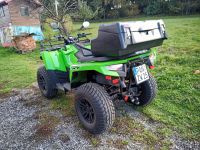 Alterra Quad von Arctic Cat Bayern - Johanniskirchen Vorschau