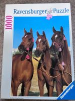 Ravensburger Pferde Puzzle 1000 Teile Brandenburg - Oranienburg Vorschau