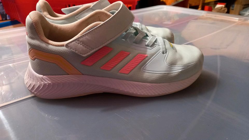 Hallenturnschuhe von Adidas in 33 in Reinstorf