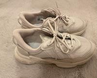 Adidas Ozweego greige Rheinland-Pfalz - Weilerbach Vorschau