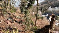 Freizeitgrundstück garten im Wesselbachtal hohenlimburg Nordrhein-Westfalen - Hagen Vorschau