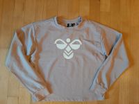 Pulli von Hummel Rose Gr. 164 Schleswig-Holstein - Jevenstedt Vorschau