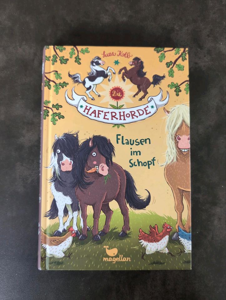Kinderbuch Haferhorde - Flausen im Kopf, Band 1 in Reinsdorf