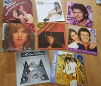 9 LP's (Schallplatten) Singles div. Interpreten Barleben - Ebendorf Vorschau