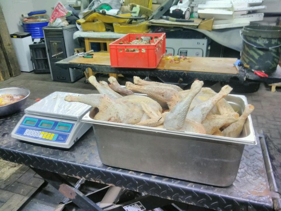 10x Bruteier Sussex Gelb-Schwarz Columbia Zweinutzung Huhn in Brüel