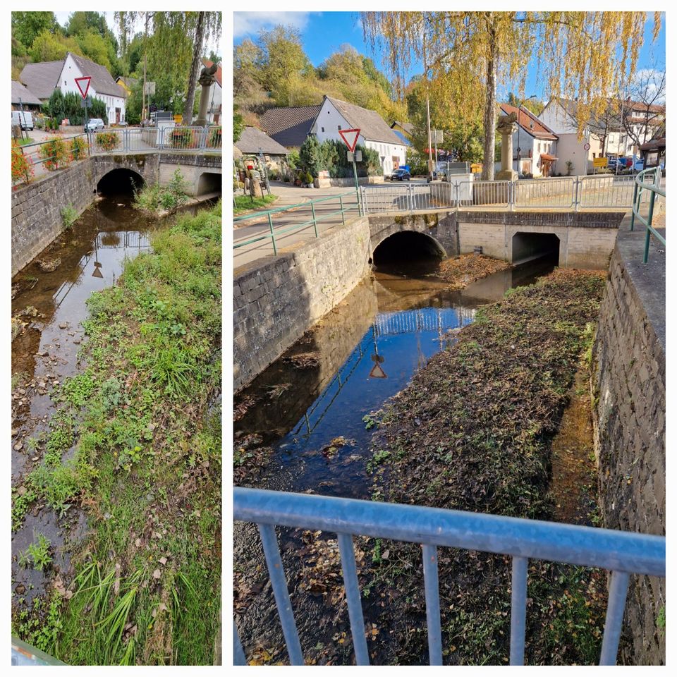 Gartenpflege, Baumfällung, Rodung, Winterdienst in Wolfstein