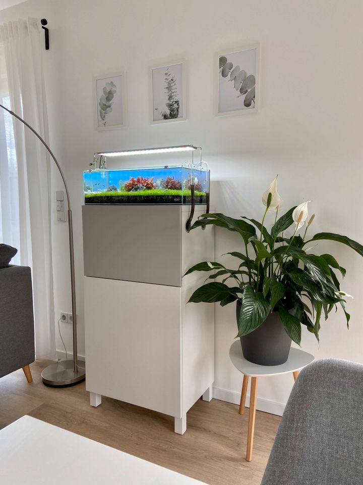 ADA 60-F Aquascape Aquarium inkl. Zubehör & Schrank in Friedewald (Westerwald)