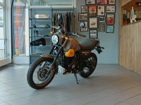 Royal Enfield Scram 411 Graphite Yellow NEU Kiel - Elmschenhagen-Nord Vorschau