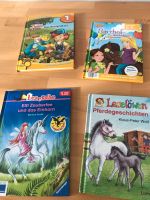 Kinderbücher, Erstlesebücher Pierdegeschichten Einhorn Thüringen - Nordhausen Vorschau