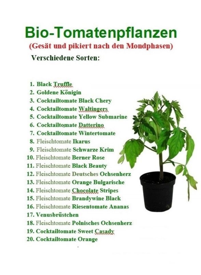 BIO Tomatenpflanzen, Paprika und Physalis in Großefehn