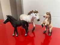 Schleich Horse Club, 3 Pferde, Welsh Pony Fohlen Nordrhein-Westfalen - Dülmen Vorschau