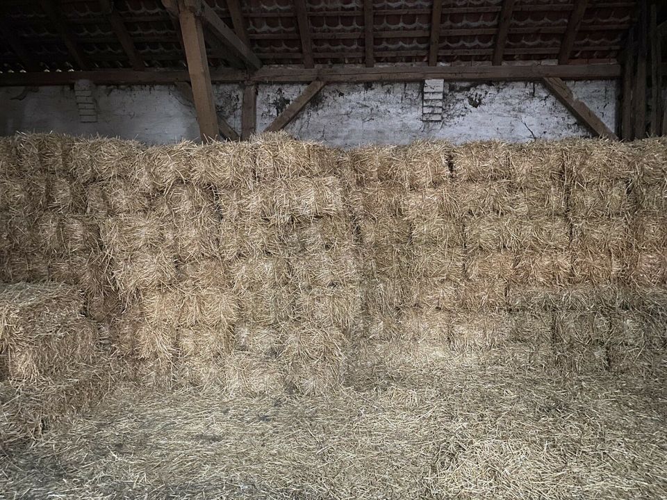 Stroh kleine Bunde in Ilsede