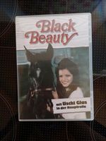 Black Beauty DVD (mit Uschi Glas) Leipzig - Schönefeld Vorschau