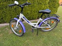 20 Zoll Pegasus Mädchenfahrrad 3 Gang Kinder Fahrrad Nordrhein-Westfalen - Delbrück Vorschau