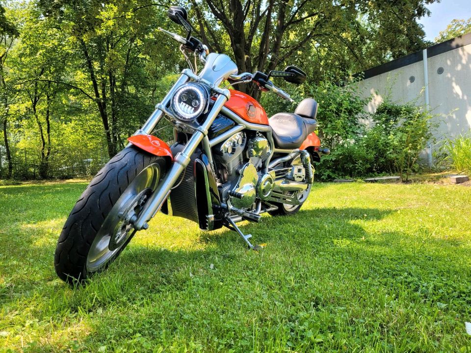 Harley Davidson Vrod - gepflegter Zustand in Schneverdingen