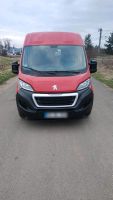 Transporter Bus Peugeot Boxer Ducato Jumper Movano L3H2 Maxi Van Bayern - Hirschaid Vorschau