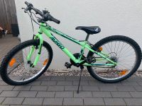 Mountainbike Avigo Jungen Fahrrad neon grün 24 Zoll Kreis Pinneberg - Barmstedt Vorschau