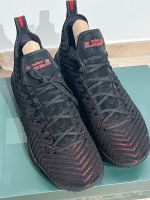 ❗NEU Nike Lebron 16 Fresh Bred EU 47,5 /UK 13 Rarität ausverkauft Frankfurt am Main - Nieder-Eschbach Vorschau