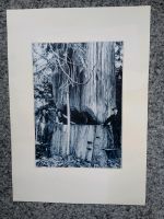 3er Serie Bilder Fotos Druck amerikanischer Holzfäller-Pioniere München - Au-Haidhausen Vorschau