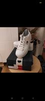 Tommy Hilfiger leicht platho Schuhe Gr. 38 Brandenburg - Falkensee Vorschau