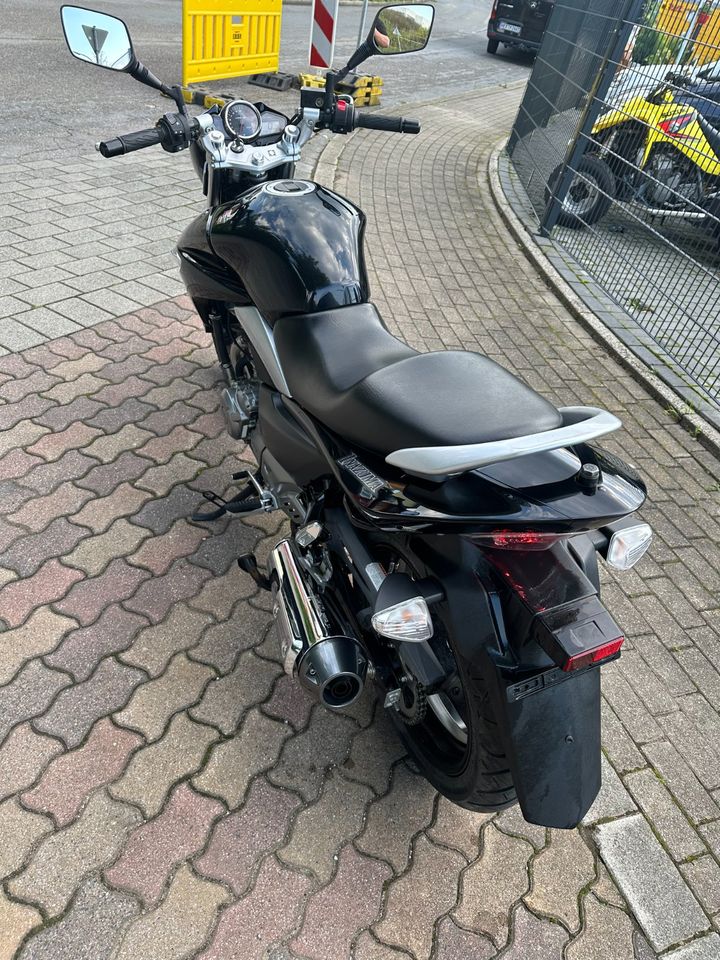 Schöne Gepflegte Suzuki GW 250 Inazuma Nur 4820KM in Herne