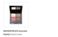 Younique Essentiell Palette Peach Tones Mecklenburg-Vorpommern - Boizenburg/Elbe Vorschau