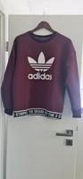 Adidas Pullover Sachsen - Stolpen Vorschau