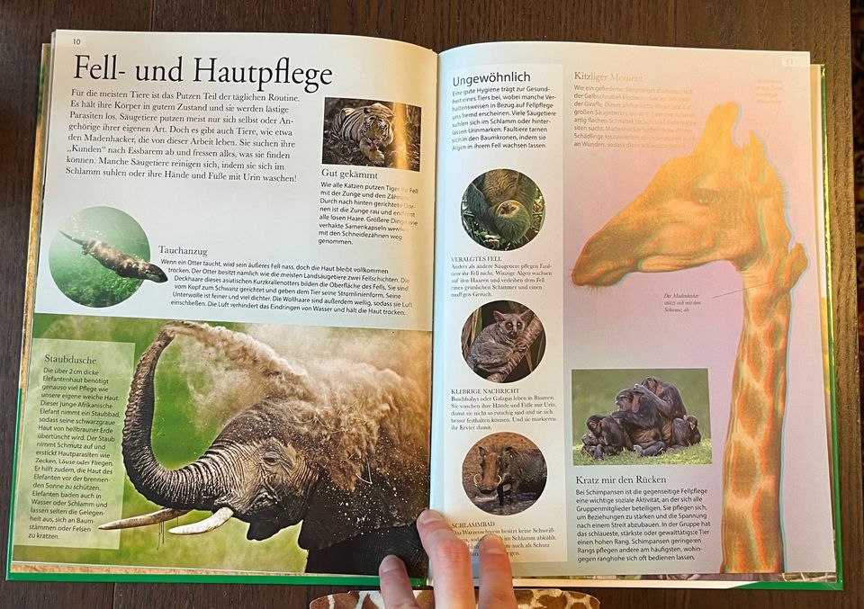 Die Welt der Säugetiere, mit 3D-Brille!, Kinderbuch in Kiel