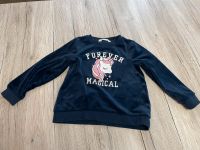 H&M Kuschel Pullover Einhorn, dicker Pullover Einhorn, 110/116 Bayern - Kirchhaslach Vorschau