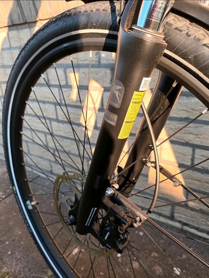E-Bike Pegasus RH50cm, 28Zoll, inkl. Schloss,Tasche,Spiegel  etc. in Diepholz
