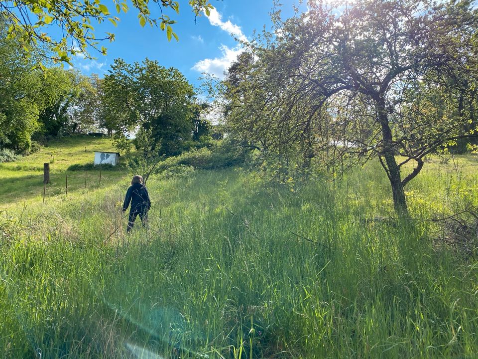 Gartengrundstück in Stuttgart Rotenberg in Stuttgart