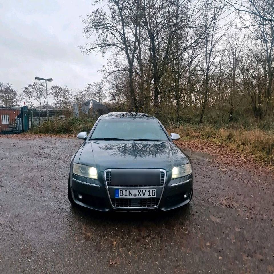 Audi S8 4e D3 V10 in Zotzenheim